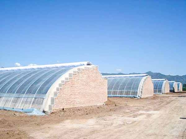 溫室大棚建造技術知識